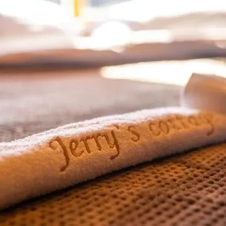 Jerry's באניה לוקה