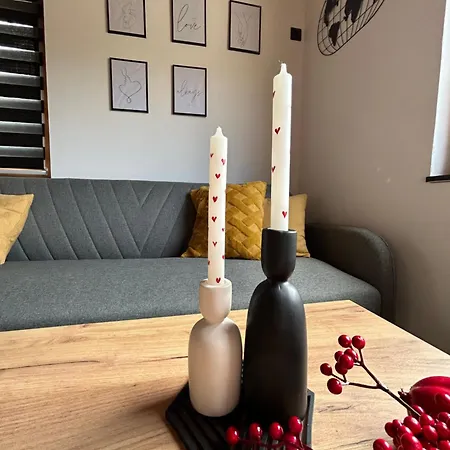 Jerry's באניה לוקה