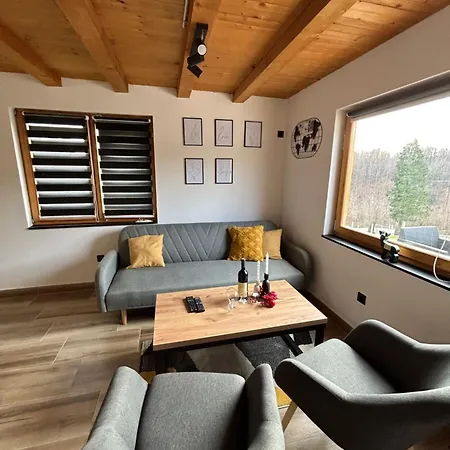 Jerry's באניה לוקה